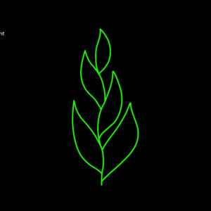 JUNGLE PLANT
