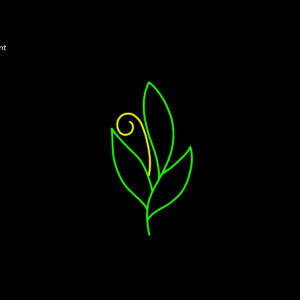 JUNGLE PLANT