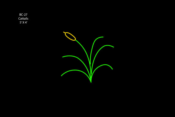CATTAILS