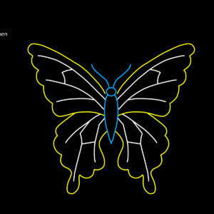 BUTTERFLY OPEN