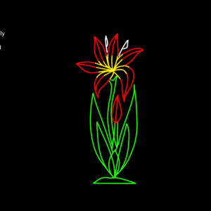 GROWING LILY (animated)