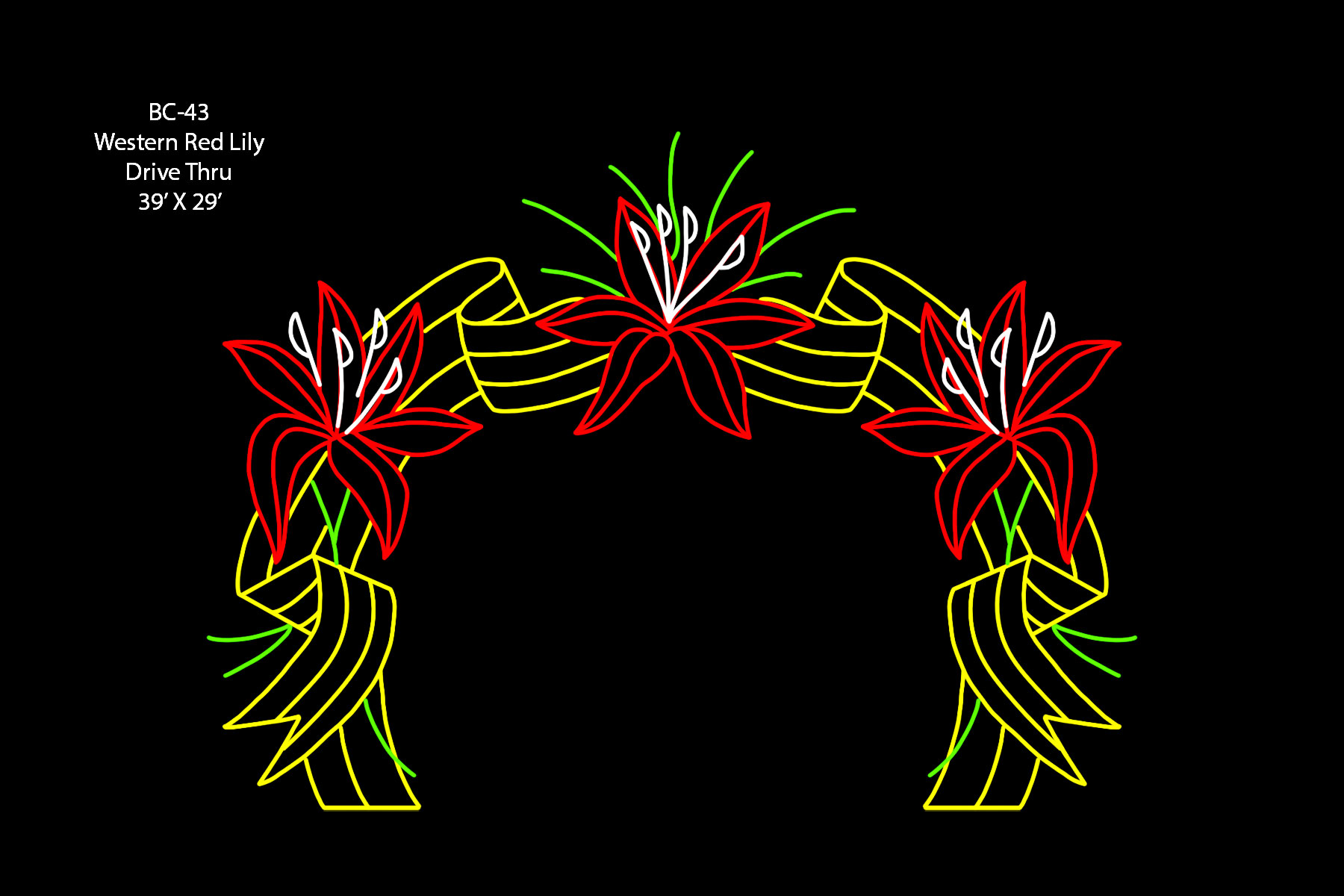 WESTERN RED LILY DRIVE THRU