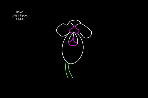 LADY’S SLIPPER