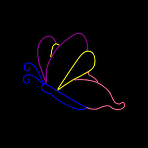 BUTTERFLY