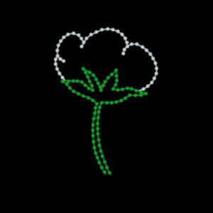Cotton Bloom