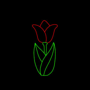 TULIP - 3' X 7'