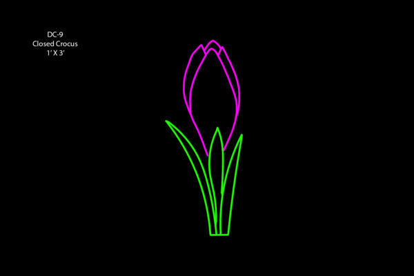CLOSED CROCUS