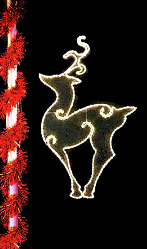 Regal Deer
