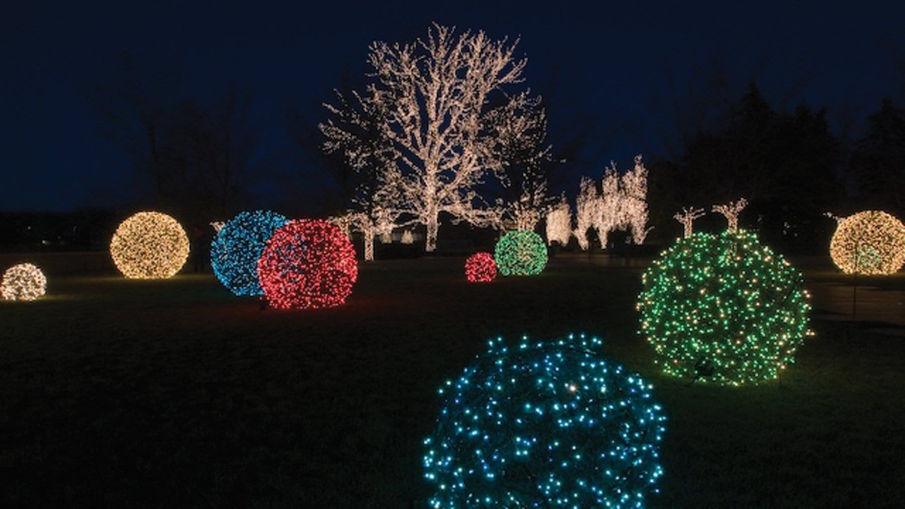 LED Grapevine Balls - Image 2