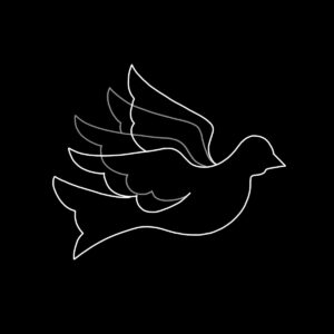 DOVE (animated)
