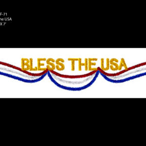 BLESS THE USA