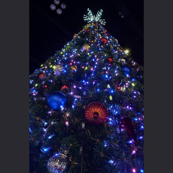 RGB Panel Tree (Pixels) - Image 2