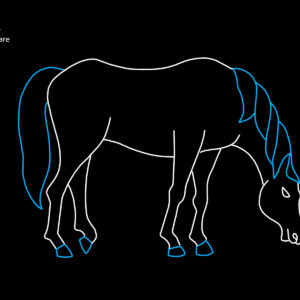 GRAZING MARE