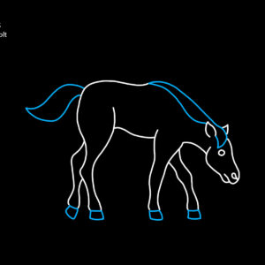 GRAZING COLT