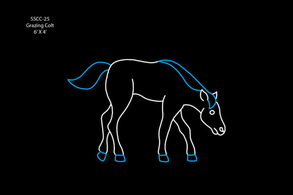 GRAZING COLT