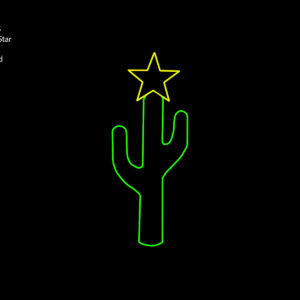 CACTUS W/ STAR