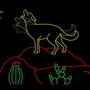 COYOTE HOWLS (animated)