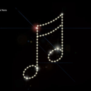 DOUBLE MUSICAL NOTE
