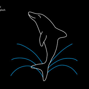 DOLPHIN W/ SPLASH