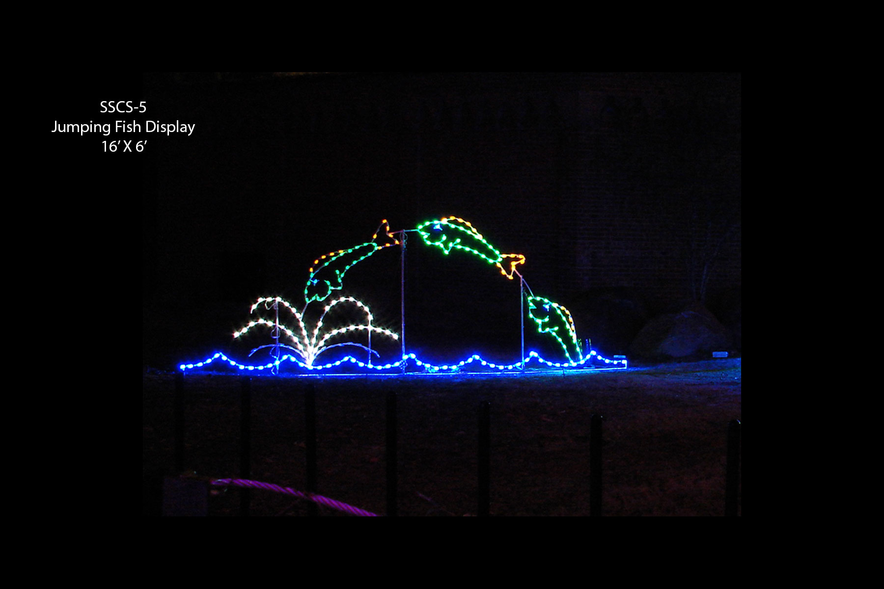 JUMPING FISH DISPLAY (animated)