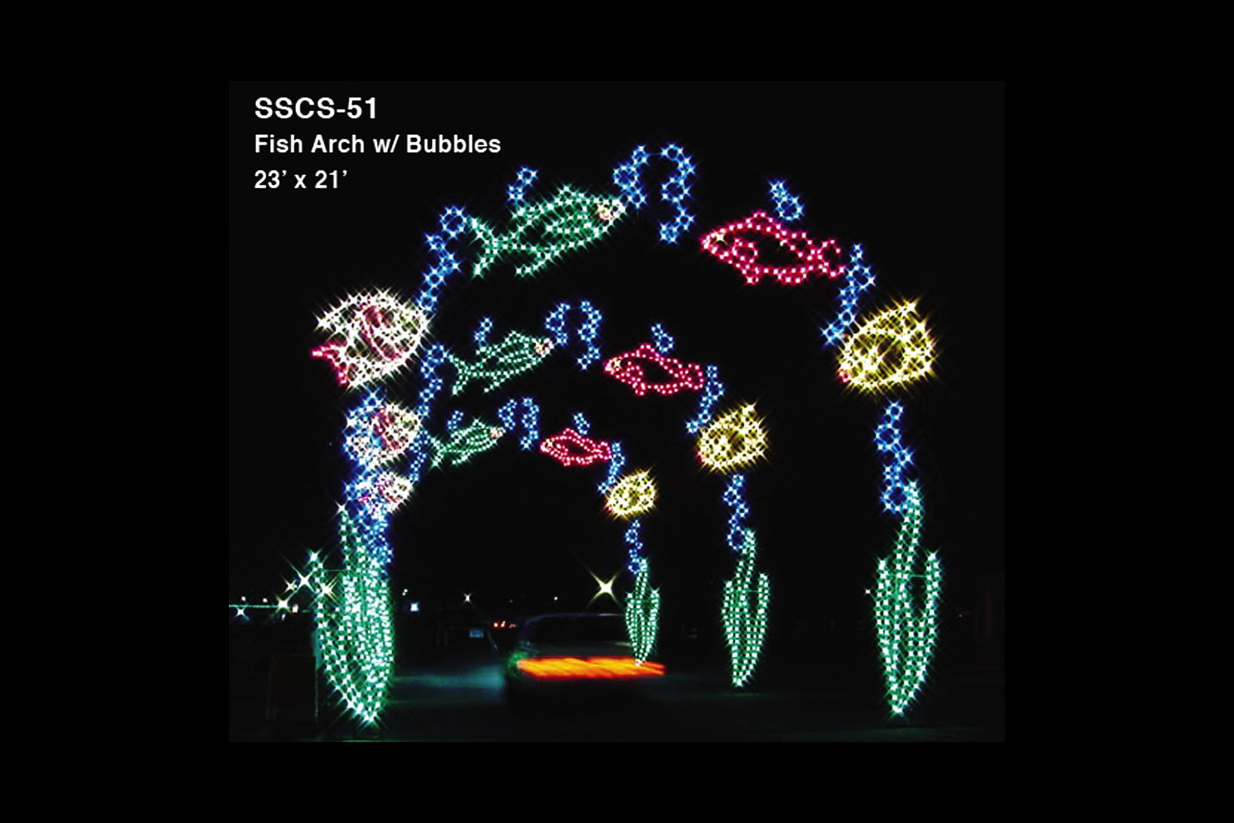 FISH ARCH W/ BUBBLES