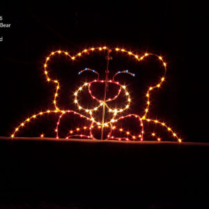 PEEK-A-BOO BEAR