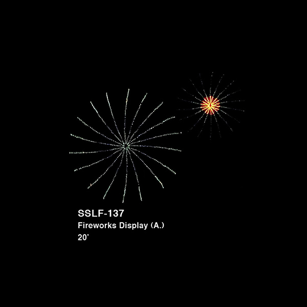 20' FIREWORKS DISPLAY (animated)