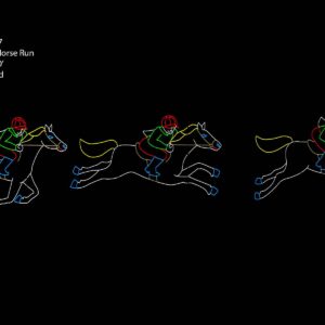 NINE CHARACTER HORSE RUN (animated)