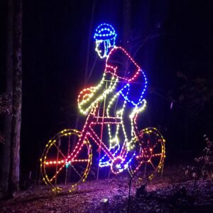 BIKE RIDER (animated)