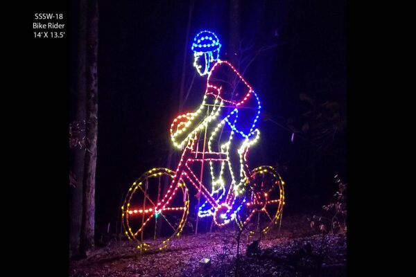 BIKE RIDER (animated)
