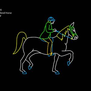 AMERICAN SADDLEBRED HORSE