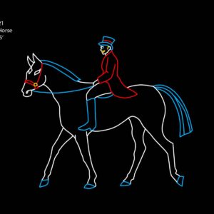 DRESSAGE HORSE
