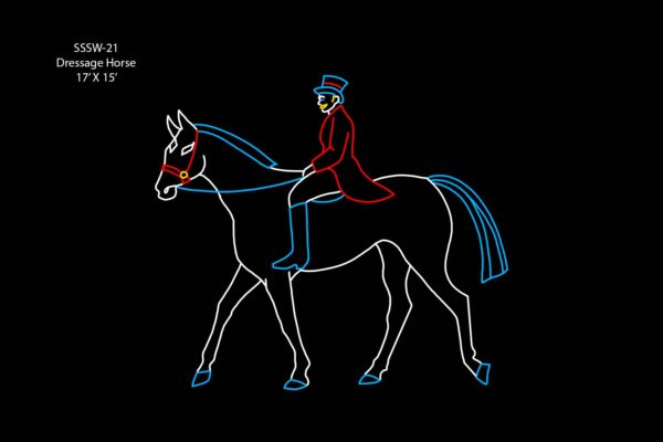 DRESSAGE HORSE