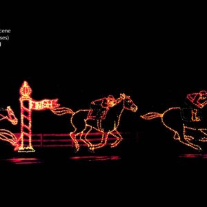 RACE HORSE SCENE (20 total horses)