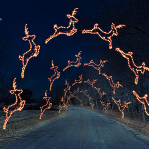 LEAPING DEER ARCH (animated)