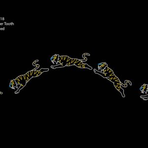 LEAPING SABER TOOTH (animated)