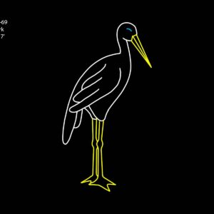 STORK
