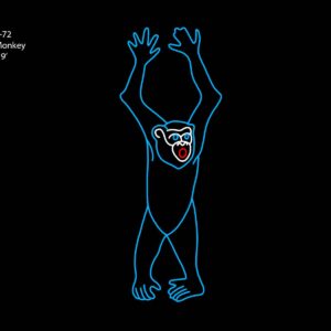 SCARED MONKEY